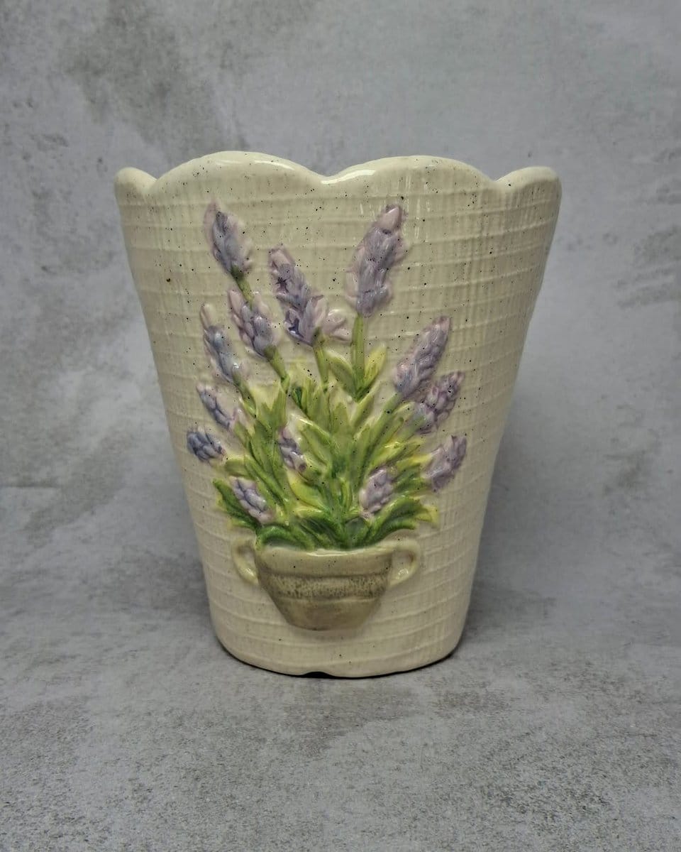 lavender plant in ceramic pot
