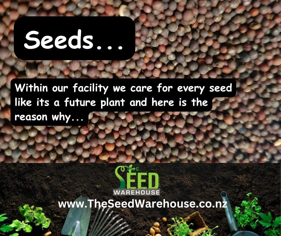 seed packets with labeled germination times