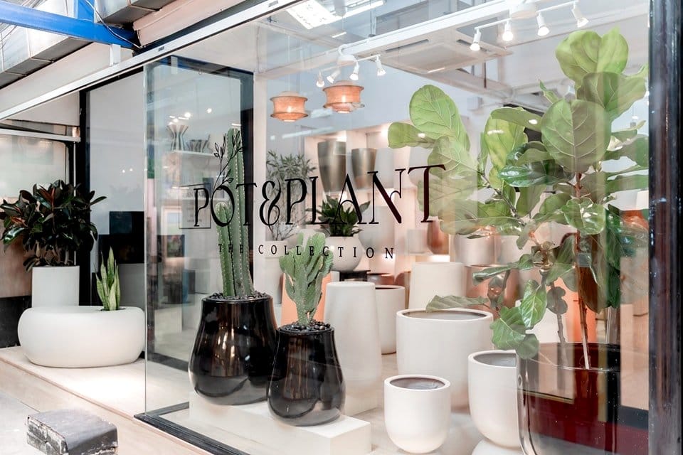 Ceramic vase with horse motif and plant display