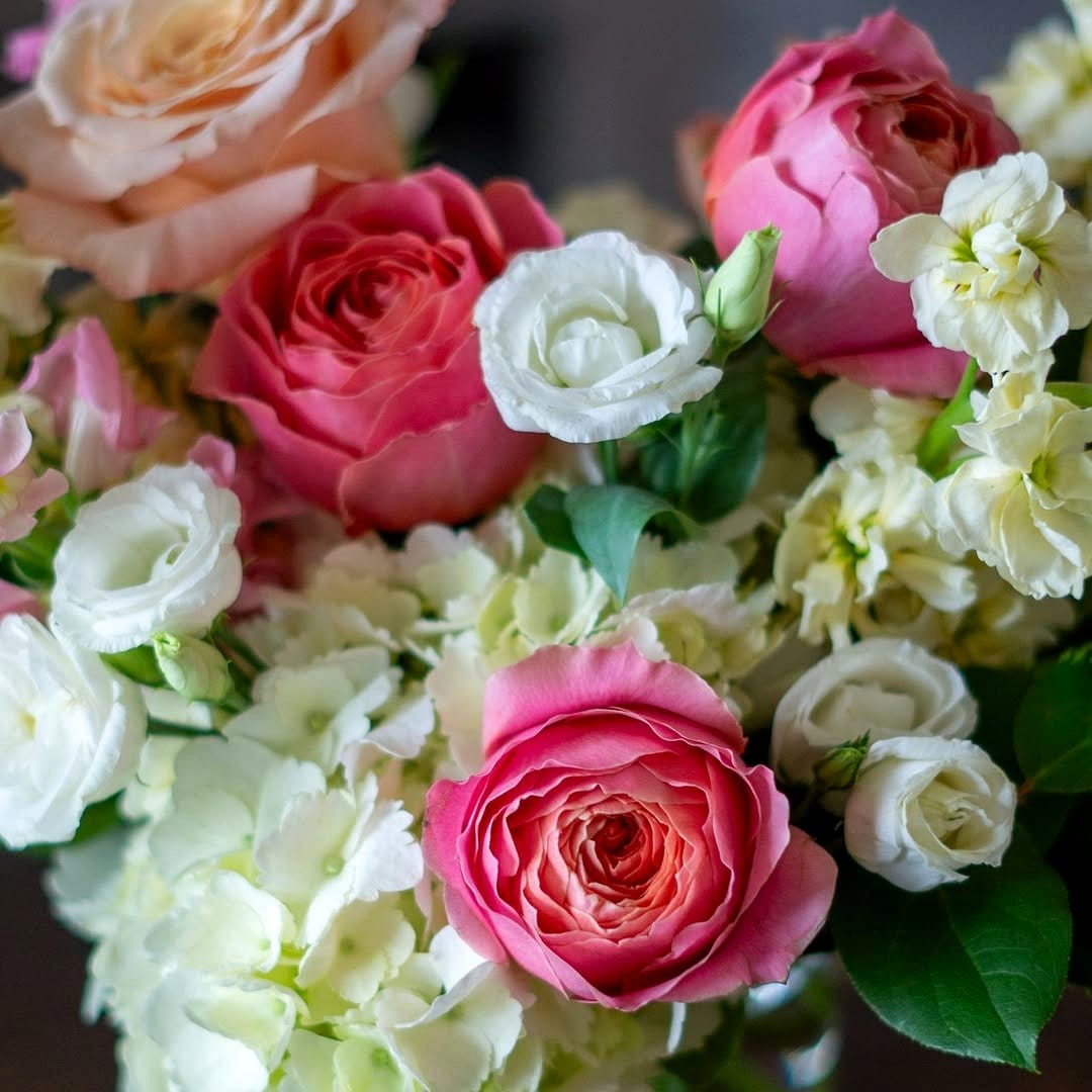 Vintage can with blooming roses