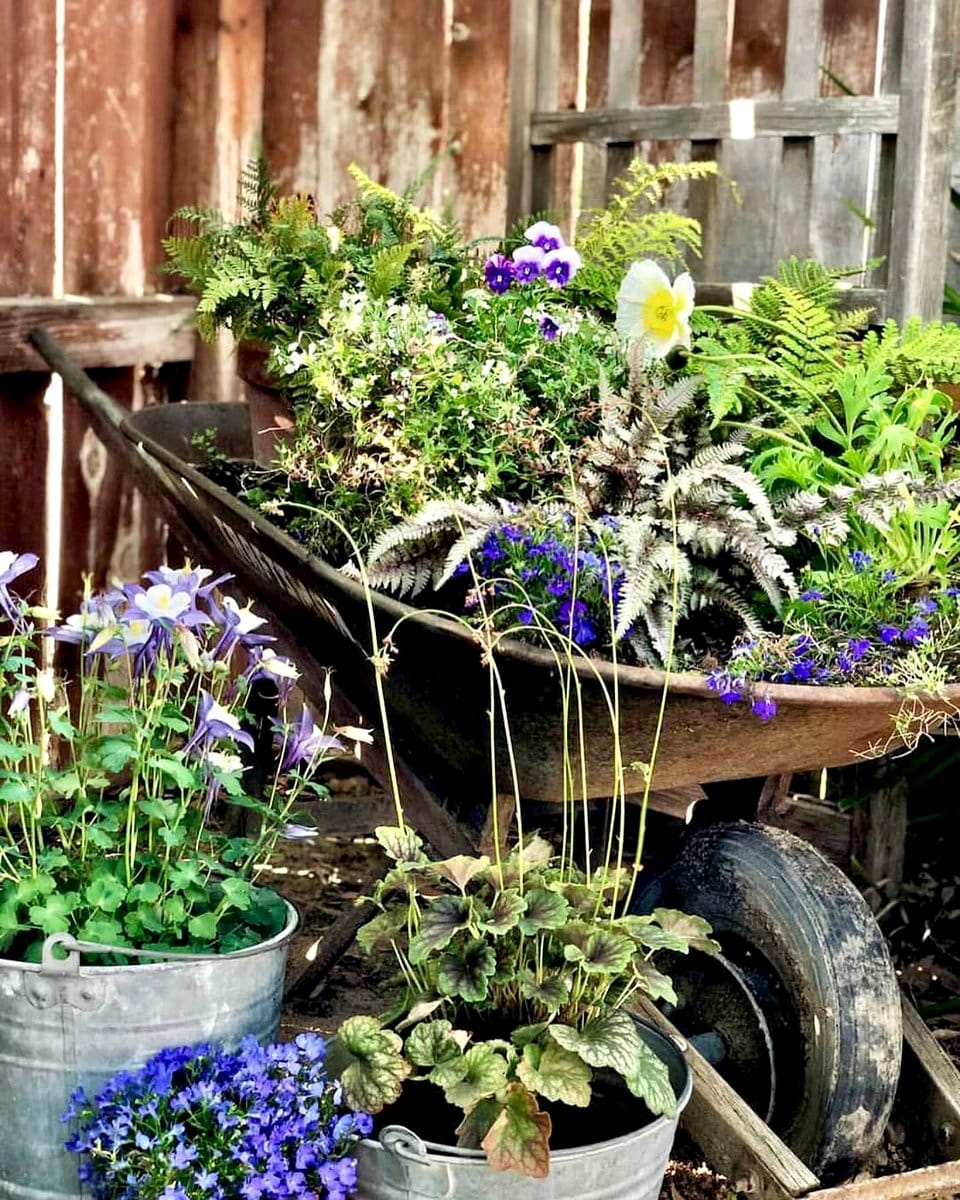 rusty toolbox with herbs