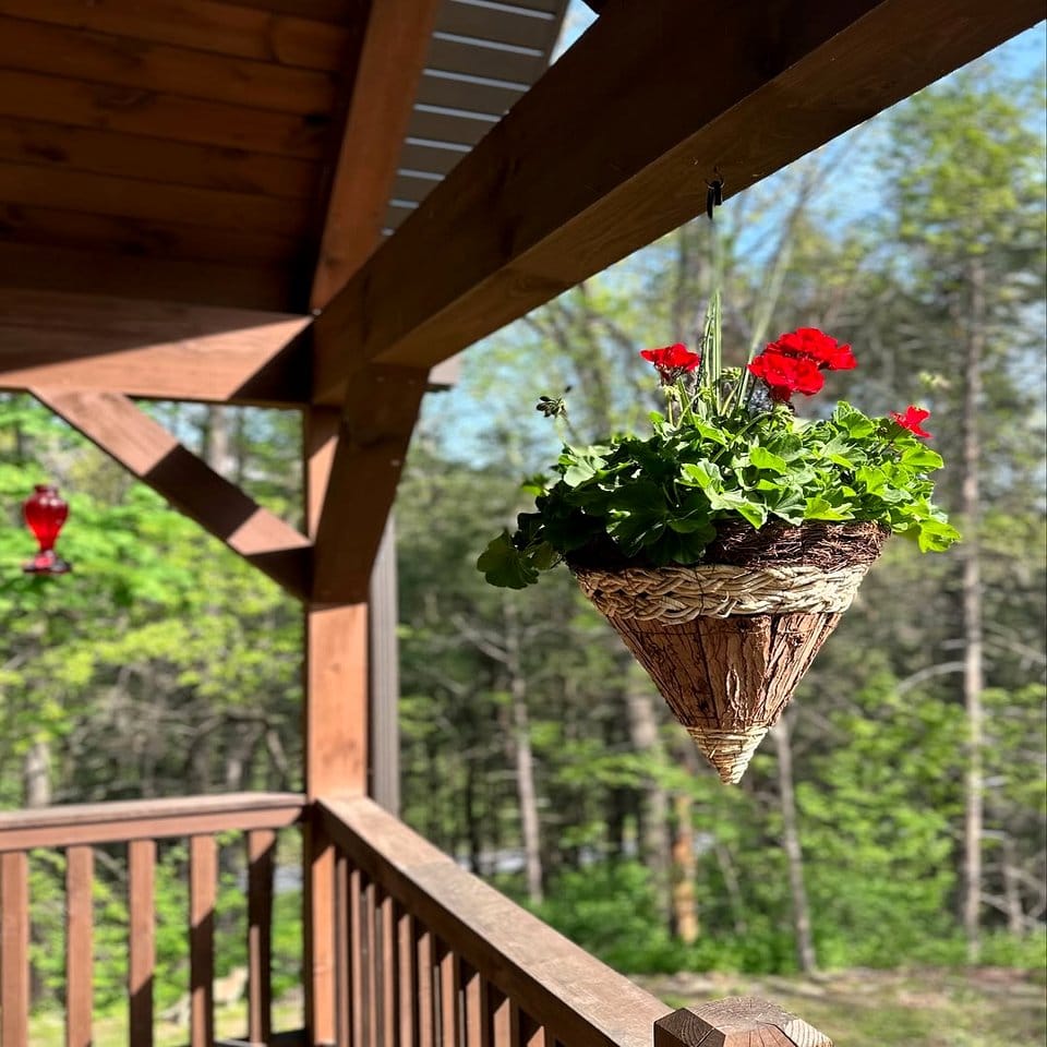 Flugelhorn hanging basket with flowers