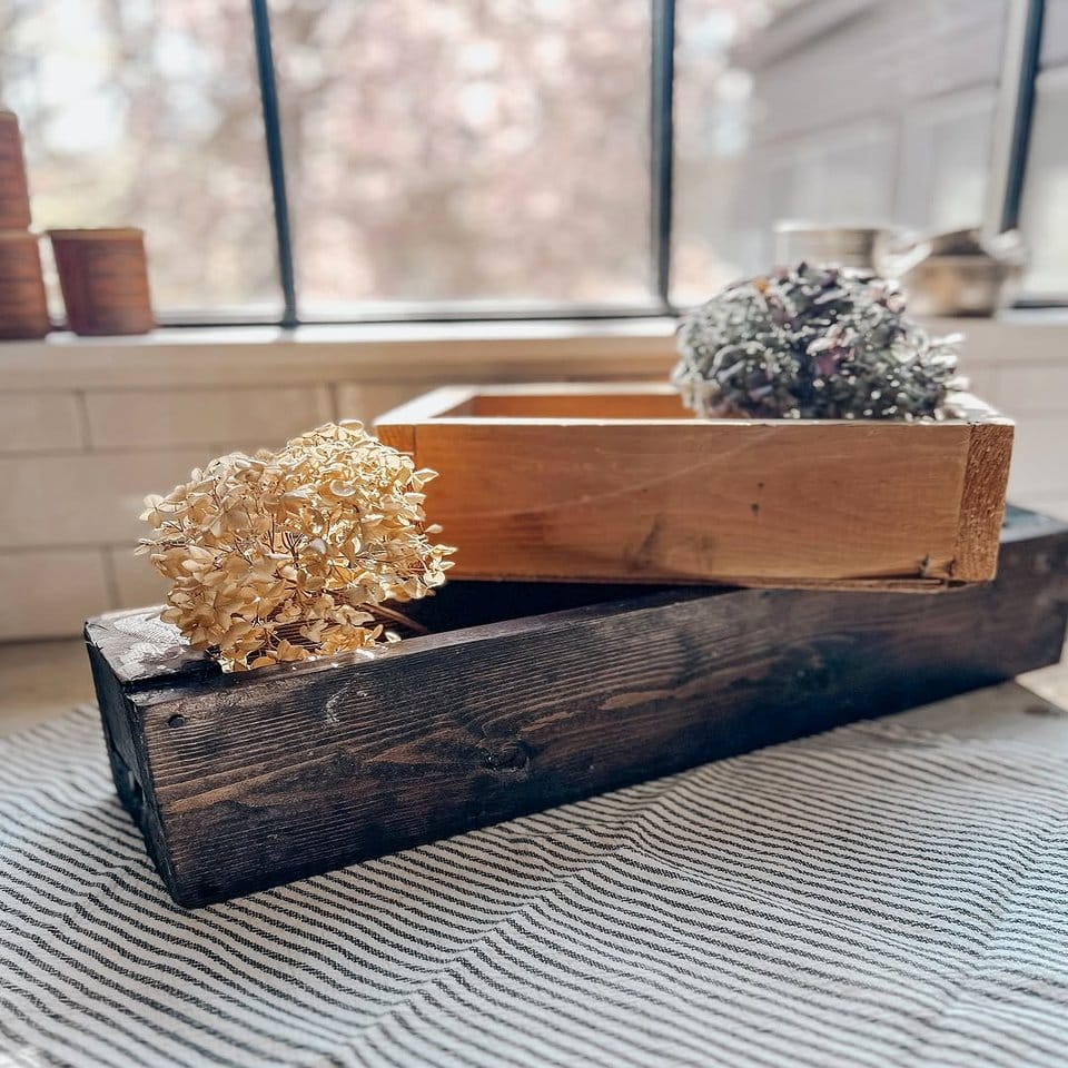 Vintage toolbox with assorted herbs