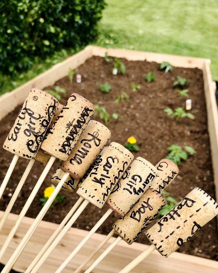 wine cork plant markers