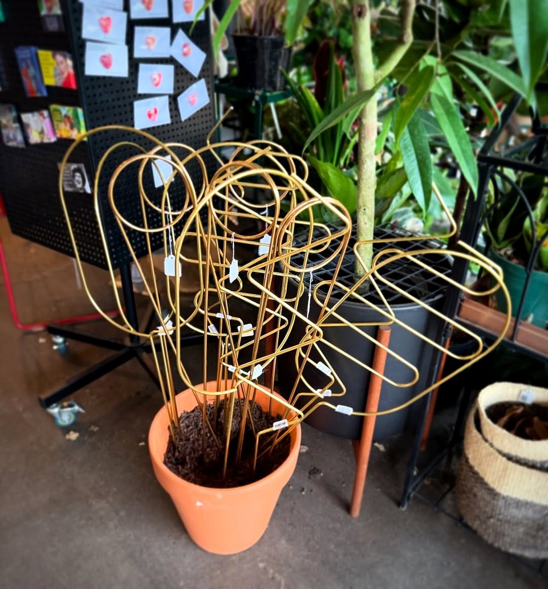 corkboard plant stakes