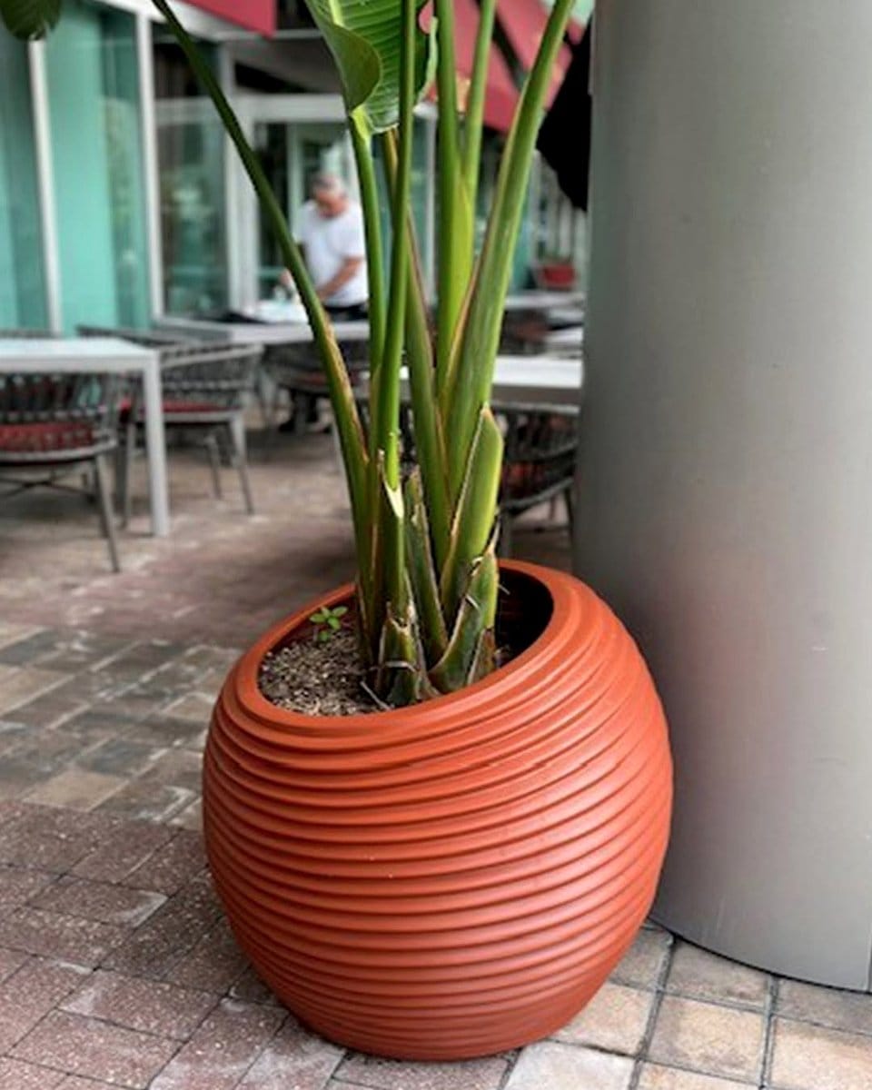 terracotta pot herb spiral