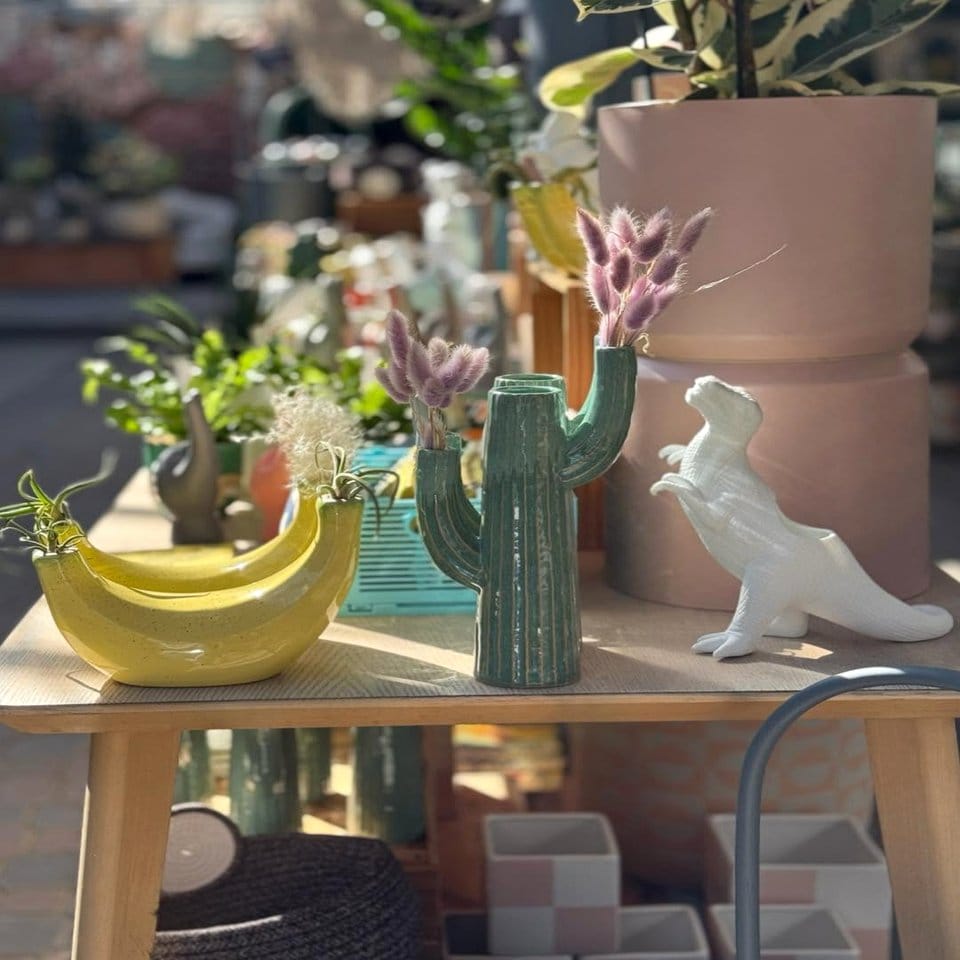 Assorted cacti in a vintage watering can