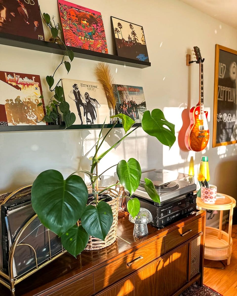 window setup with plants and record player