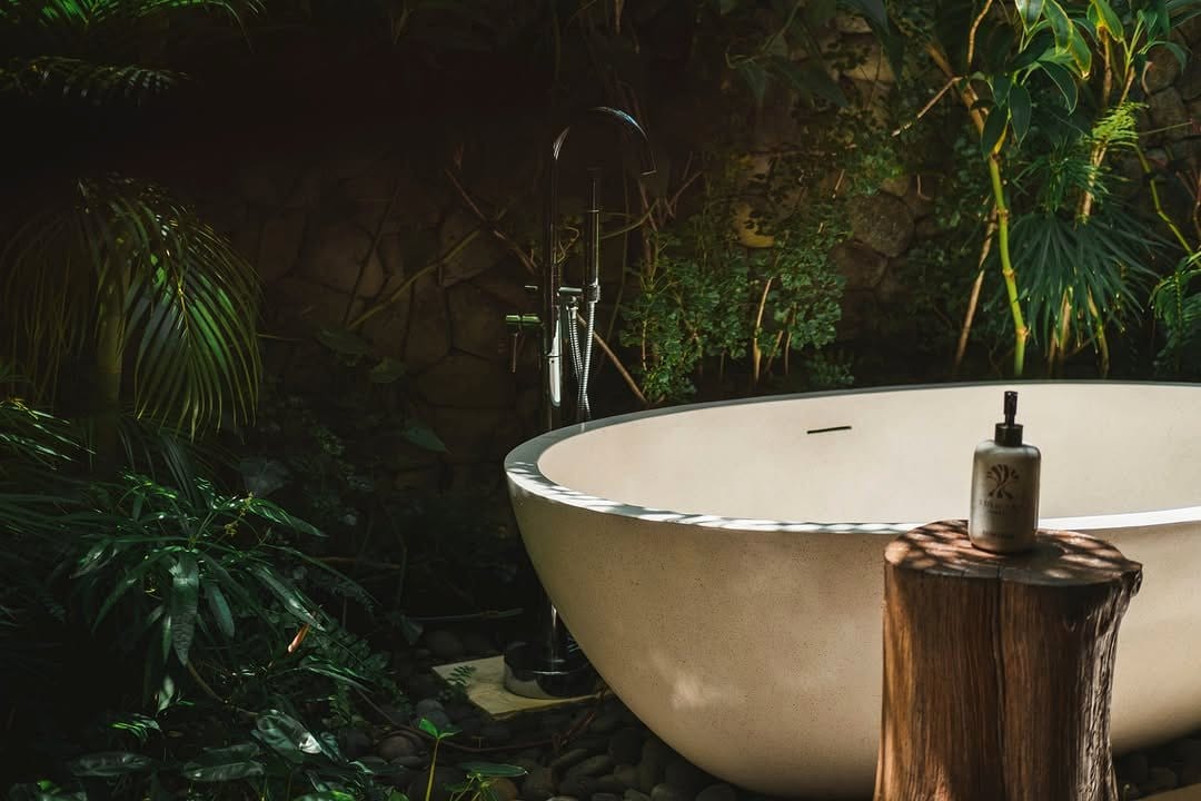 lush tropical plants in bathtub