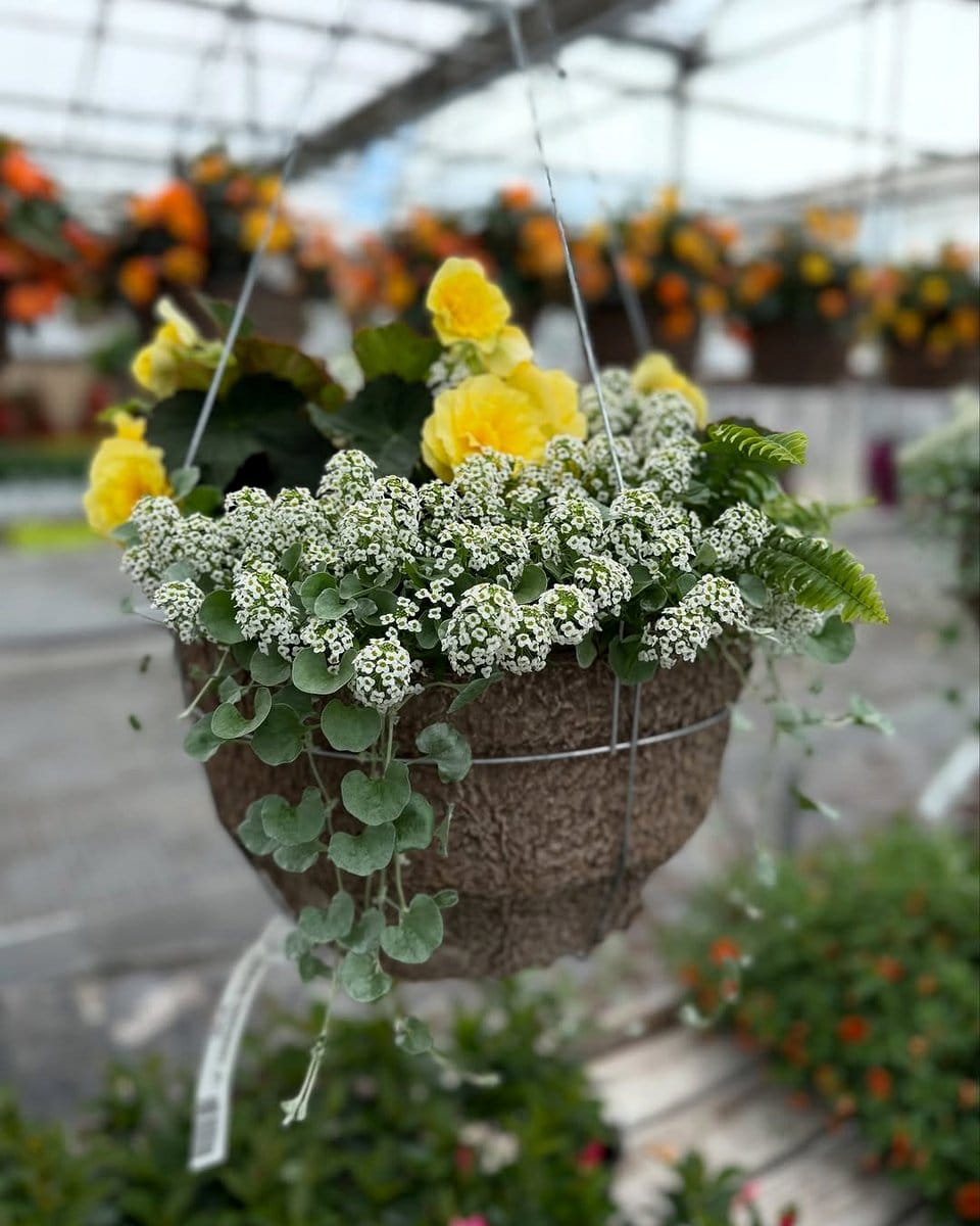 overflowing hanging baskets with flowers