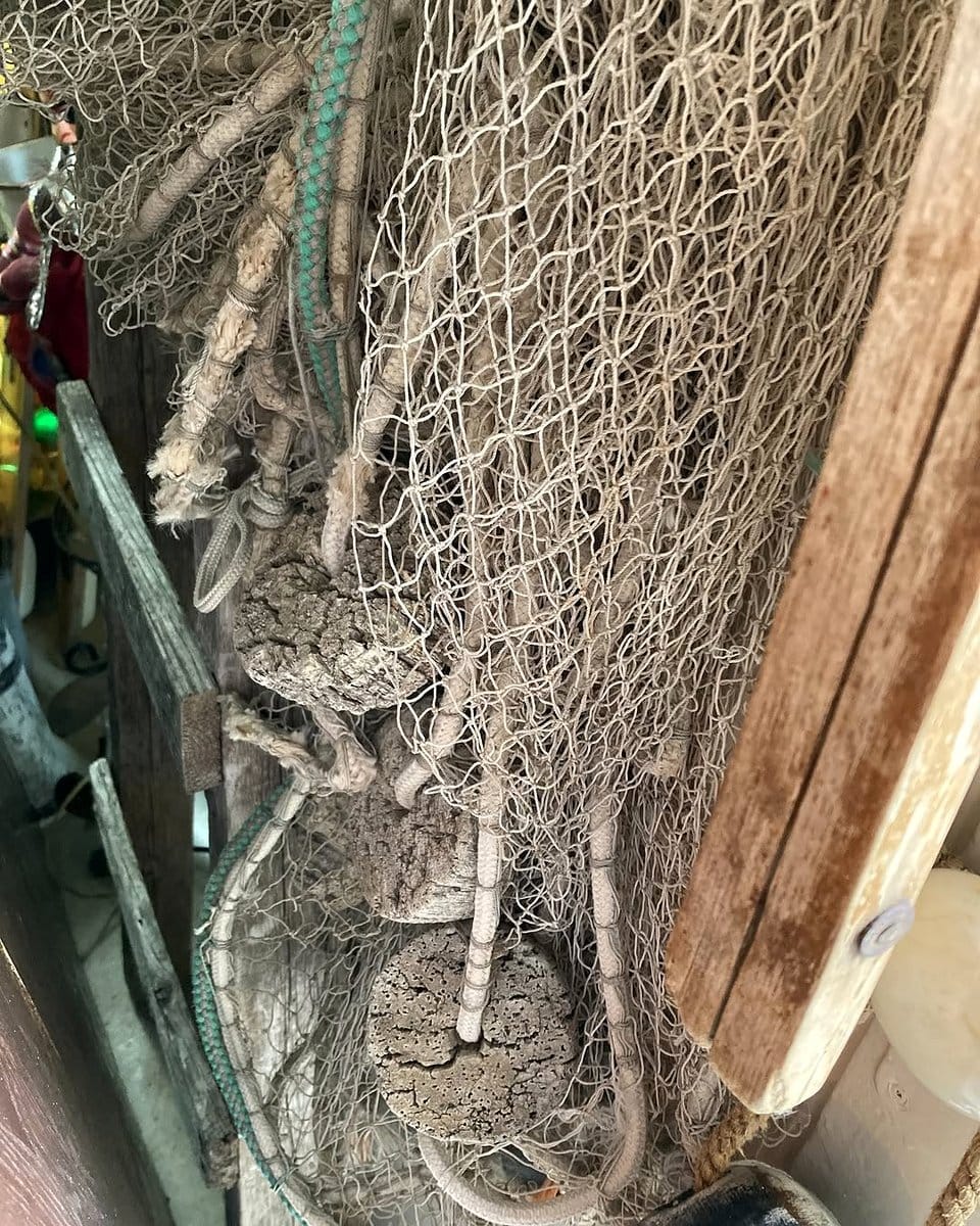 fishing net with decor items