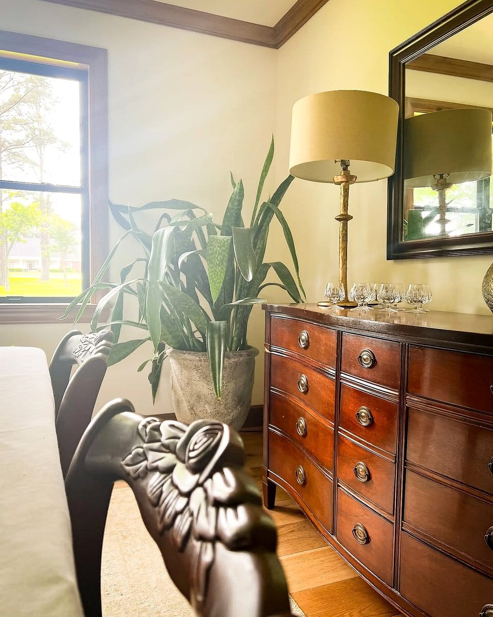 bedroom drawer with indoor plants