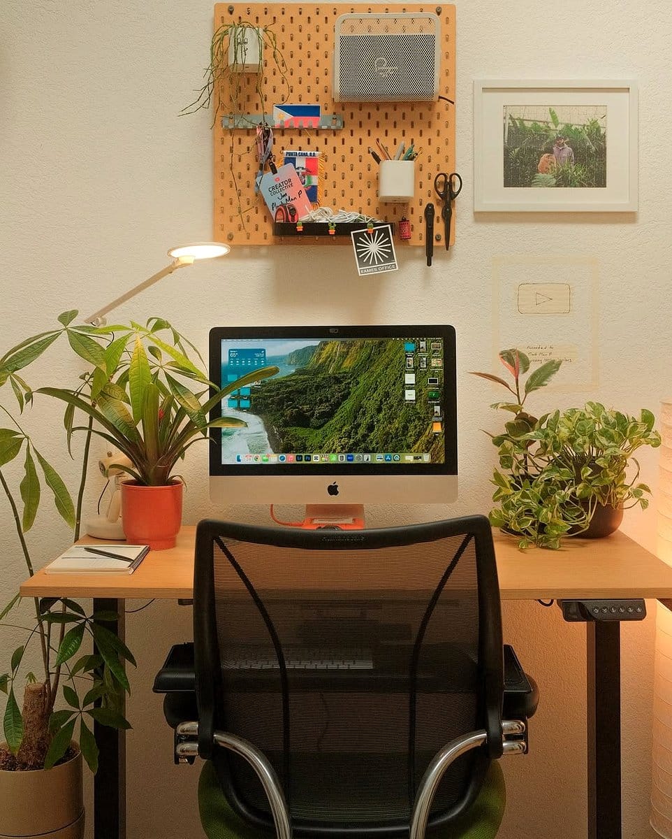 inch plant on a desk