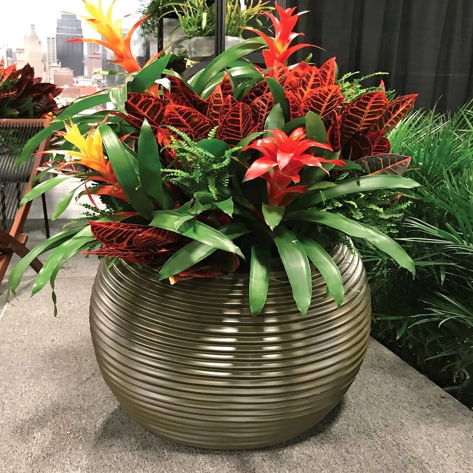 Textured planters with diverse plant species