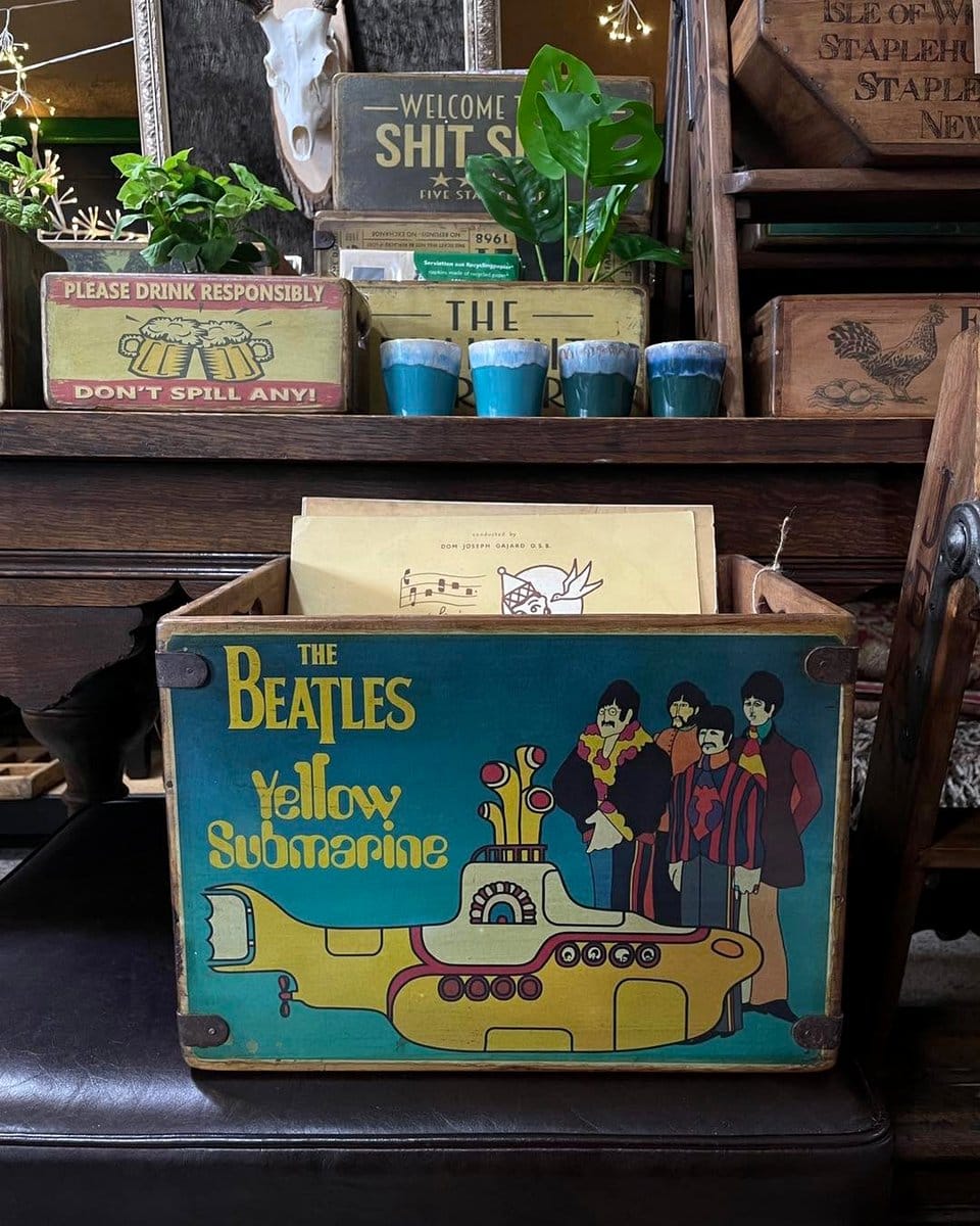 wooden crate with plants and records