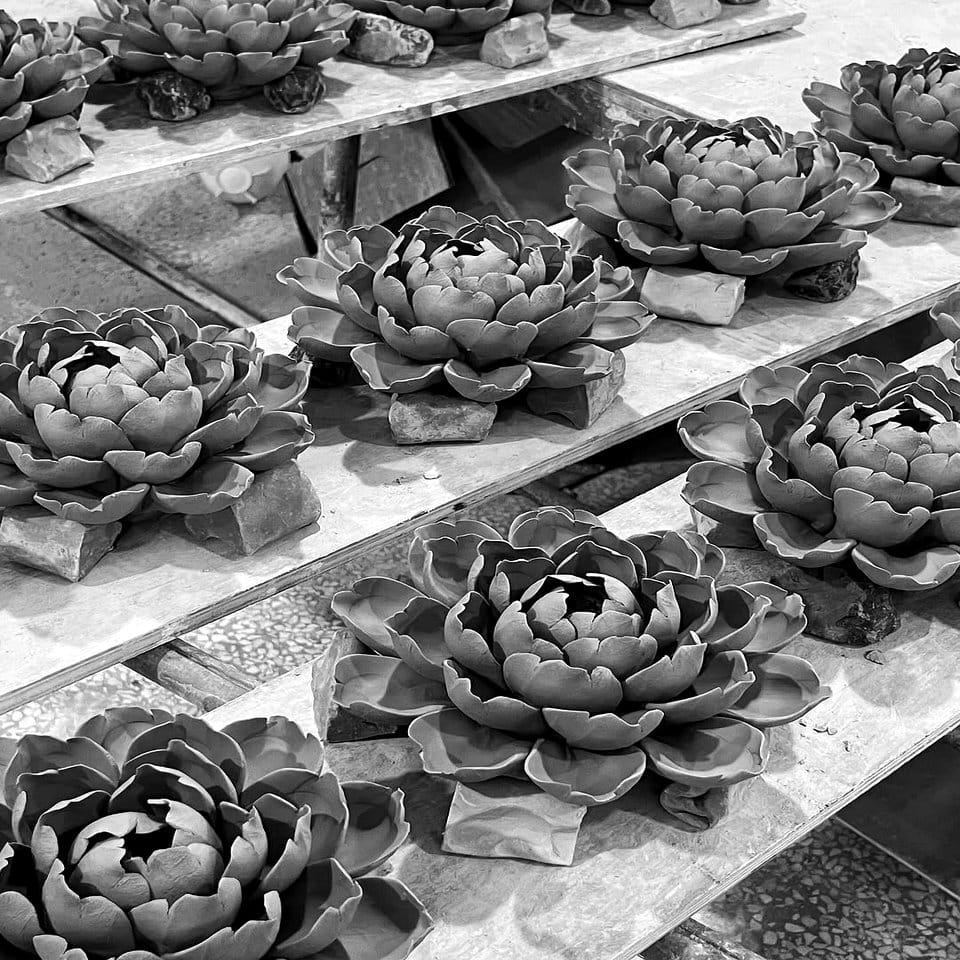 Minimalist black and white succulent display