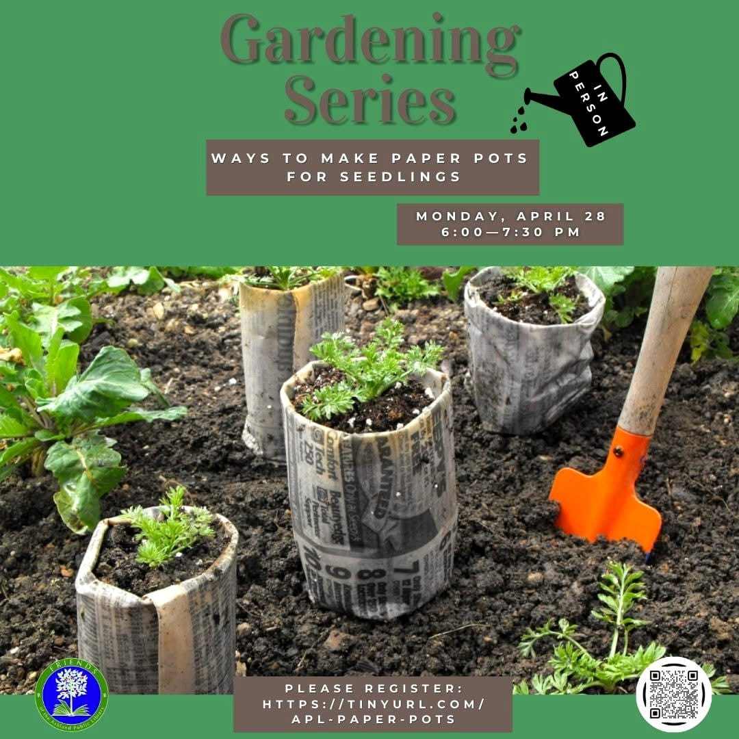 seedlings in newspaper pots