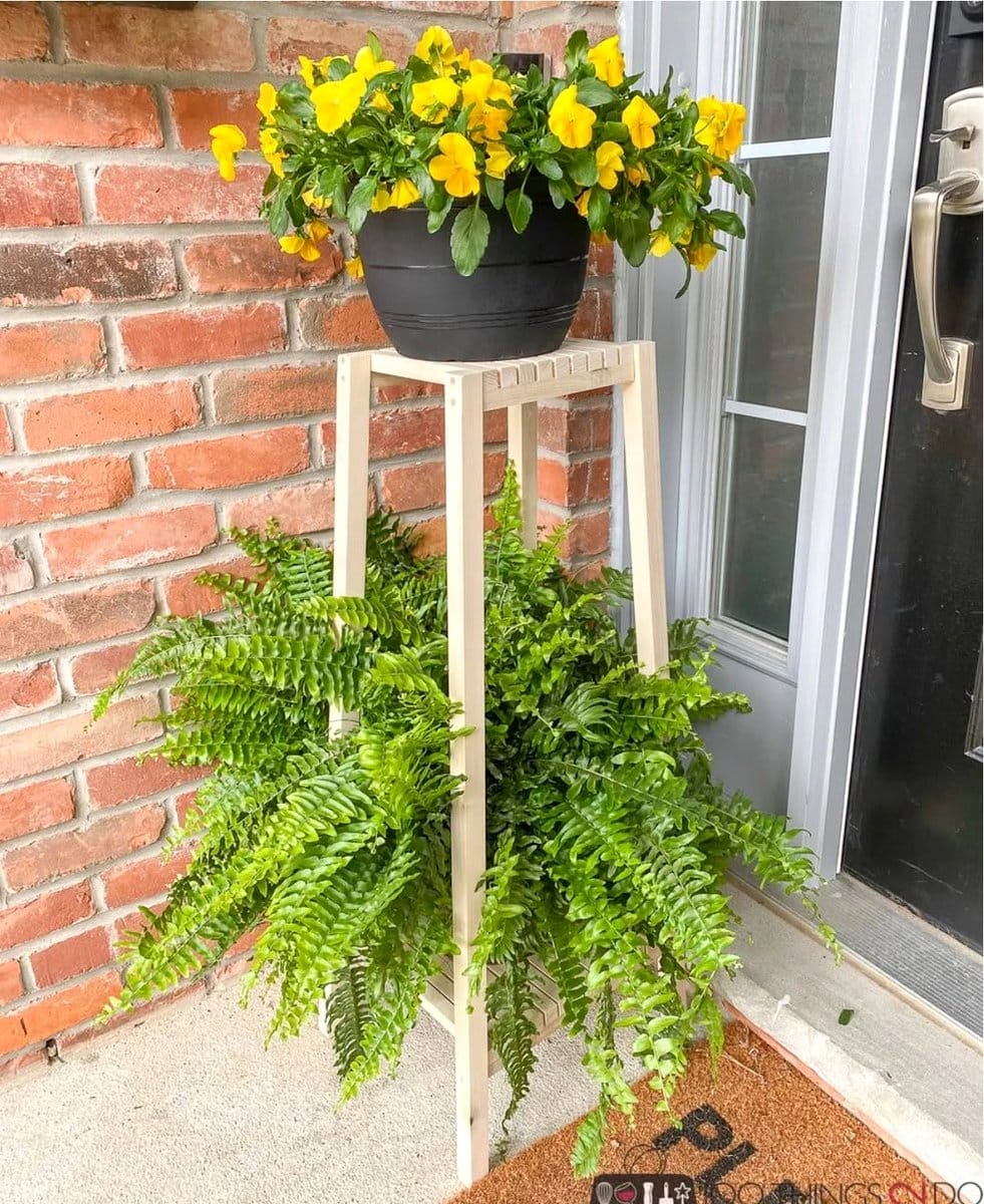 tiered plant stand near window