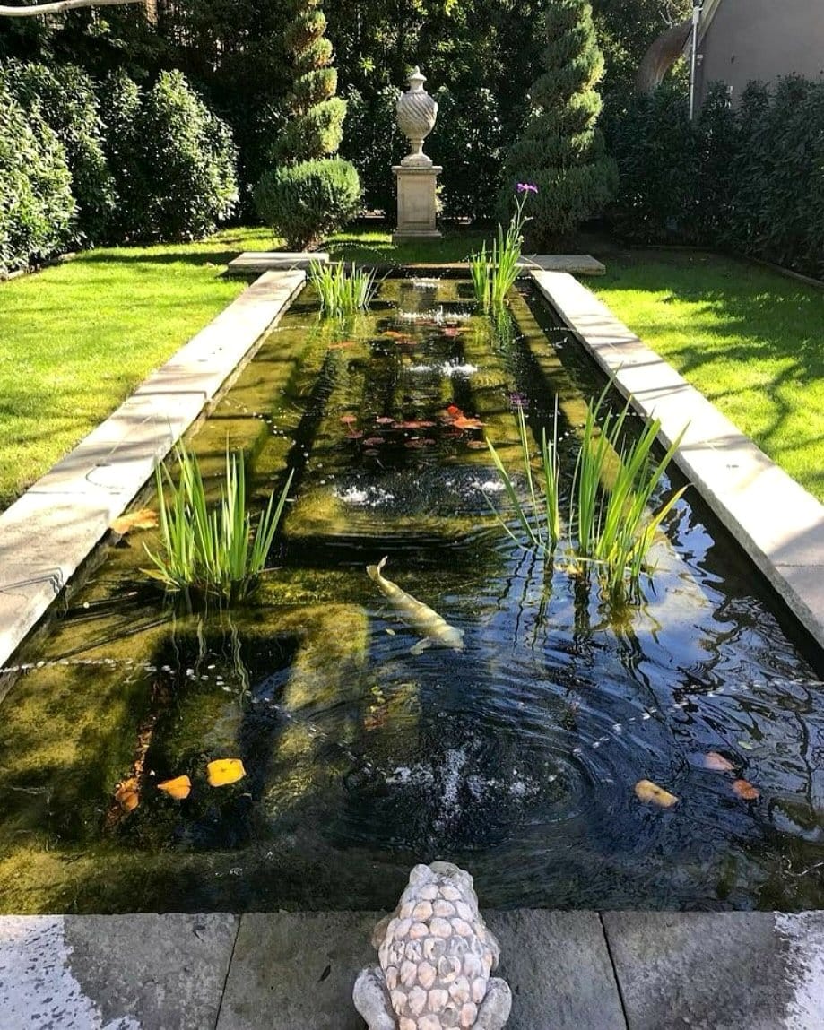 tranquil zen pond with water lilies