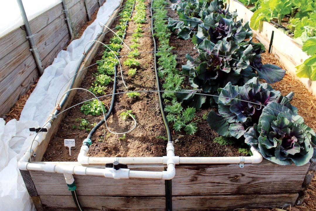 drip irrigation system in garden