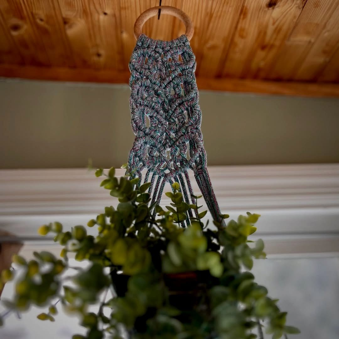 small chandelier plant hanger with tiny cacti