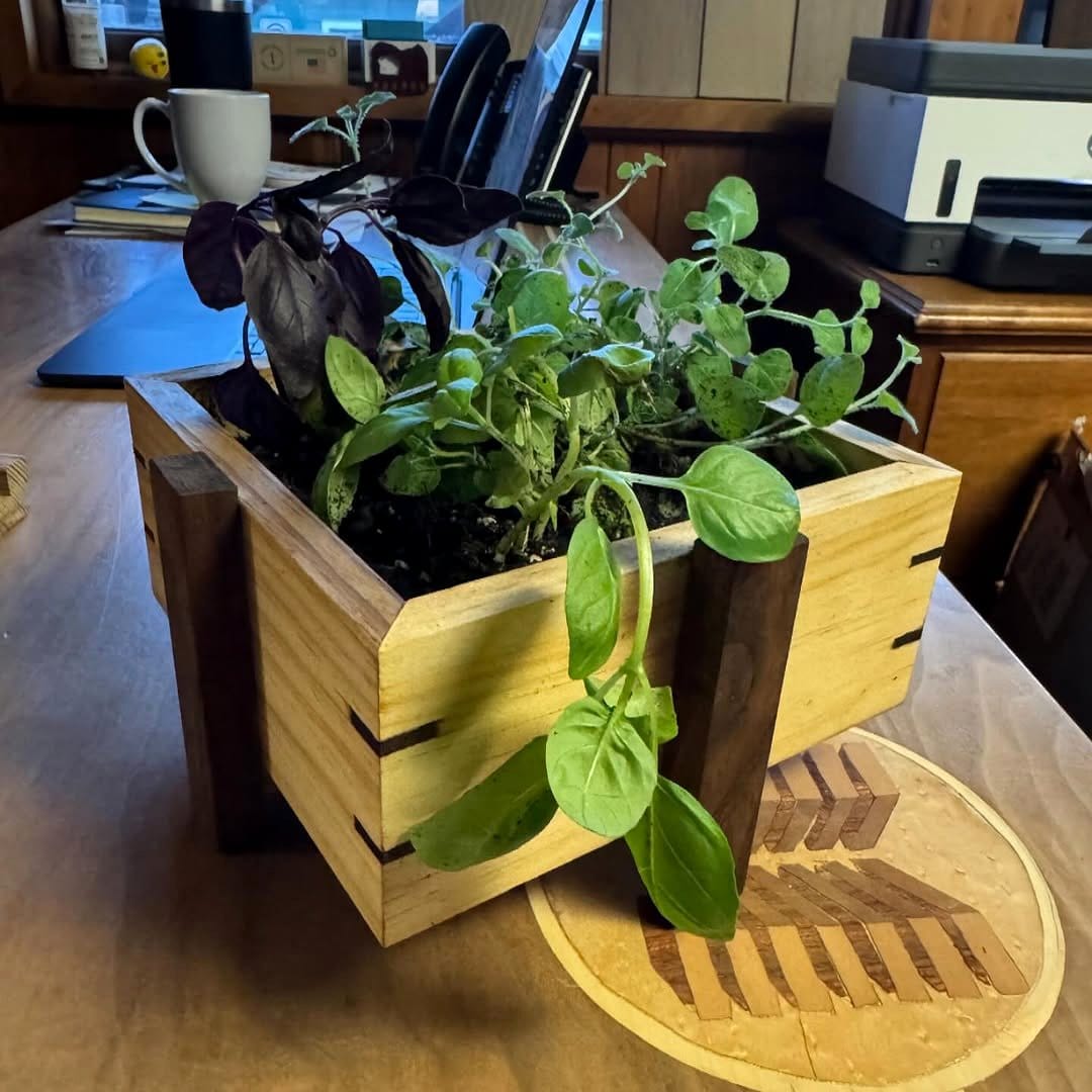 wooden crate with tin can herbs
