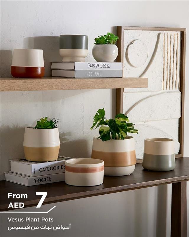 white ceramic pots on wooden shelf