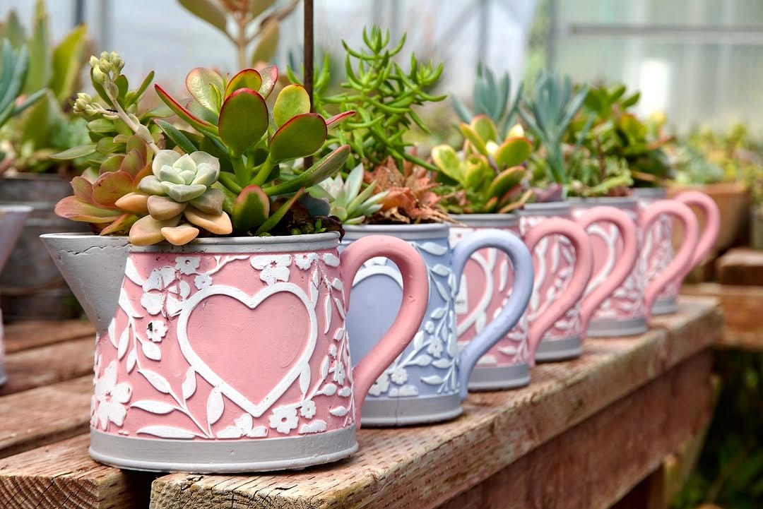 edible teacup garden with succulents