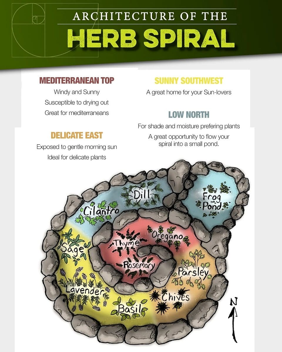 herb spiral with edible flowers