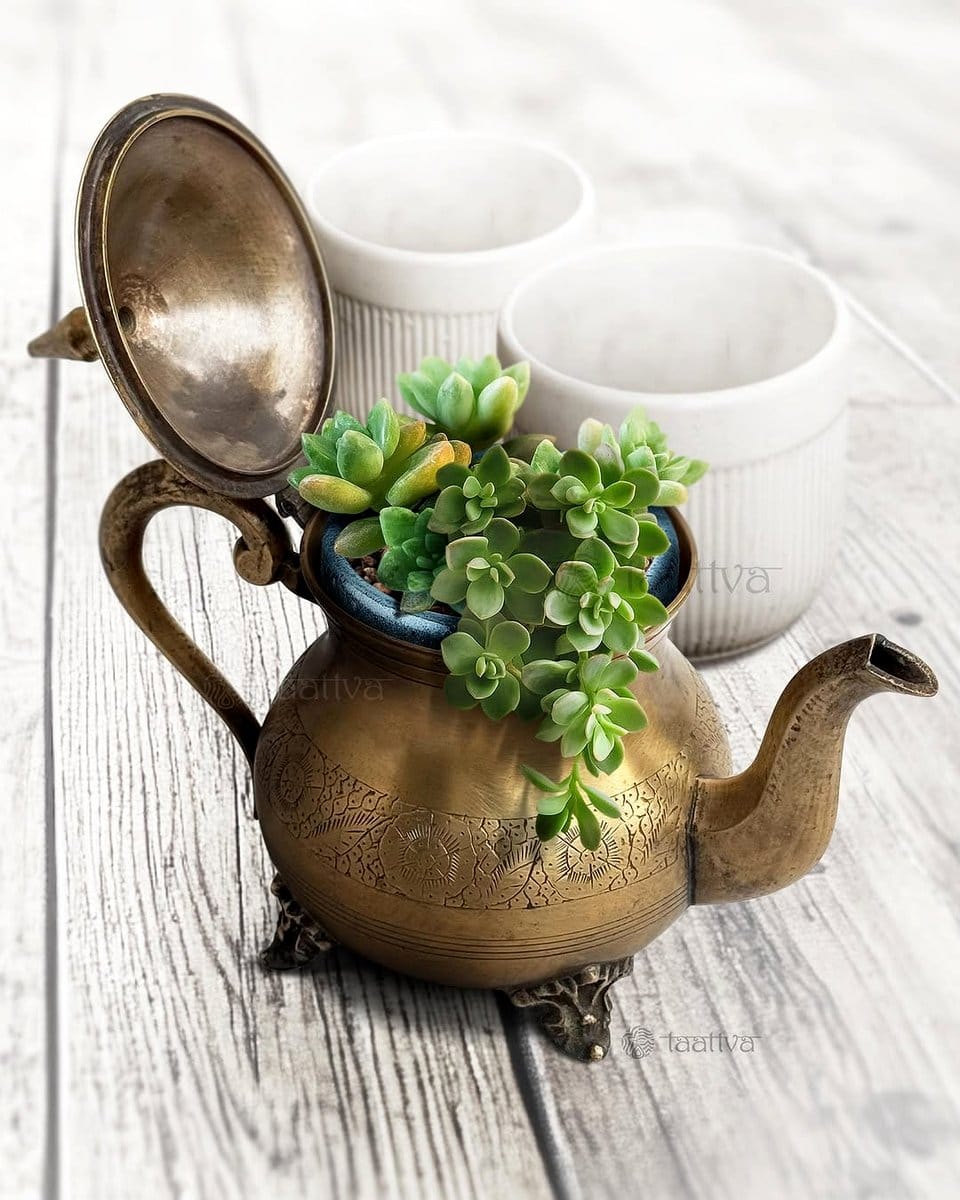 vintage teapots with plants