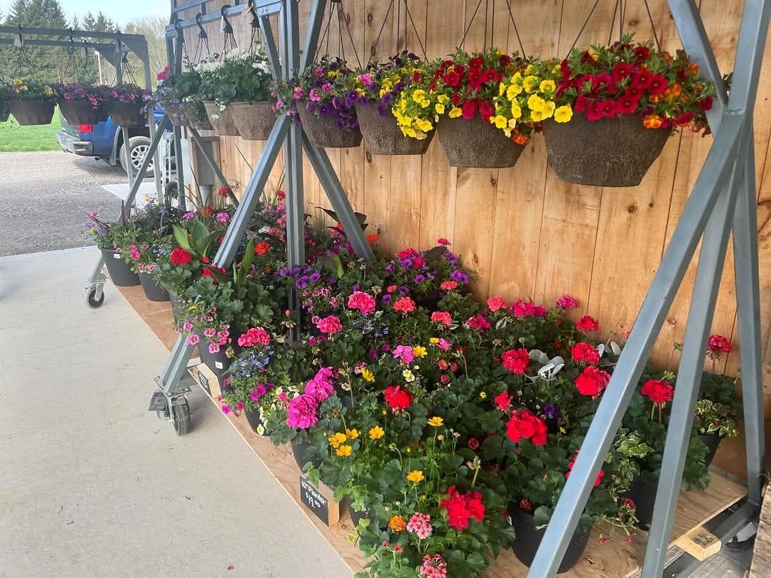 hanging herb pots on fence