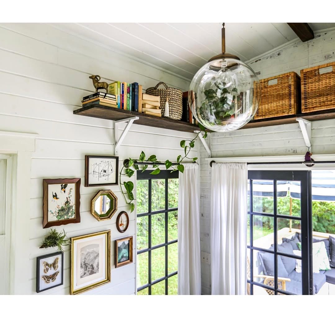 parlor palm in cozy reading nook