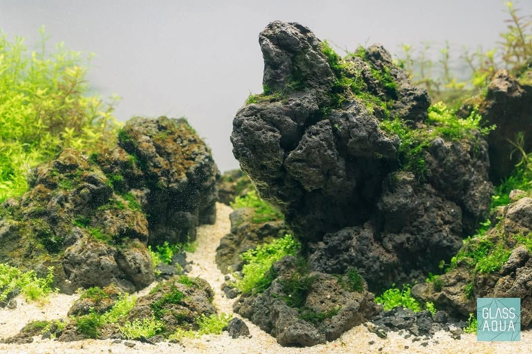 Miniature Icelandic landscape with lava rocks and plants