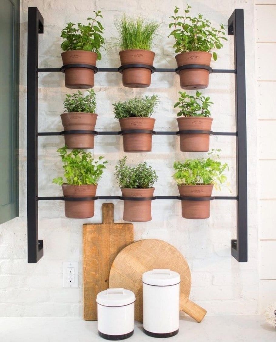 wall-mounted herb garden in kitchen