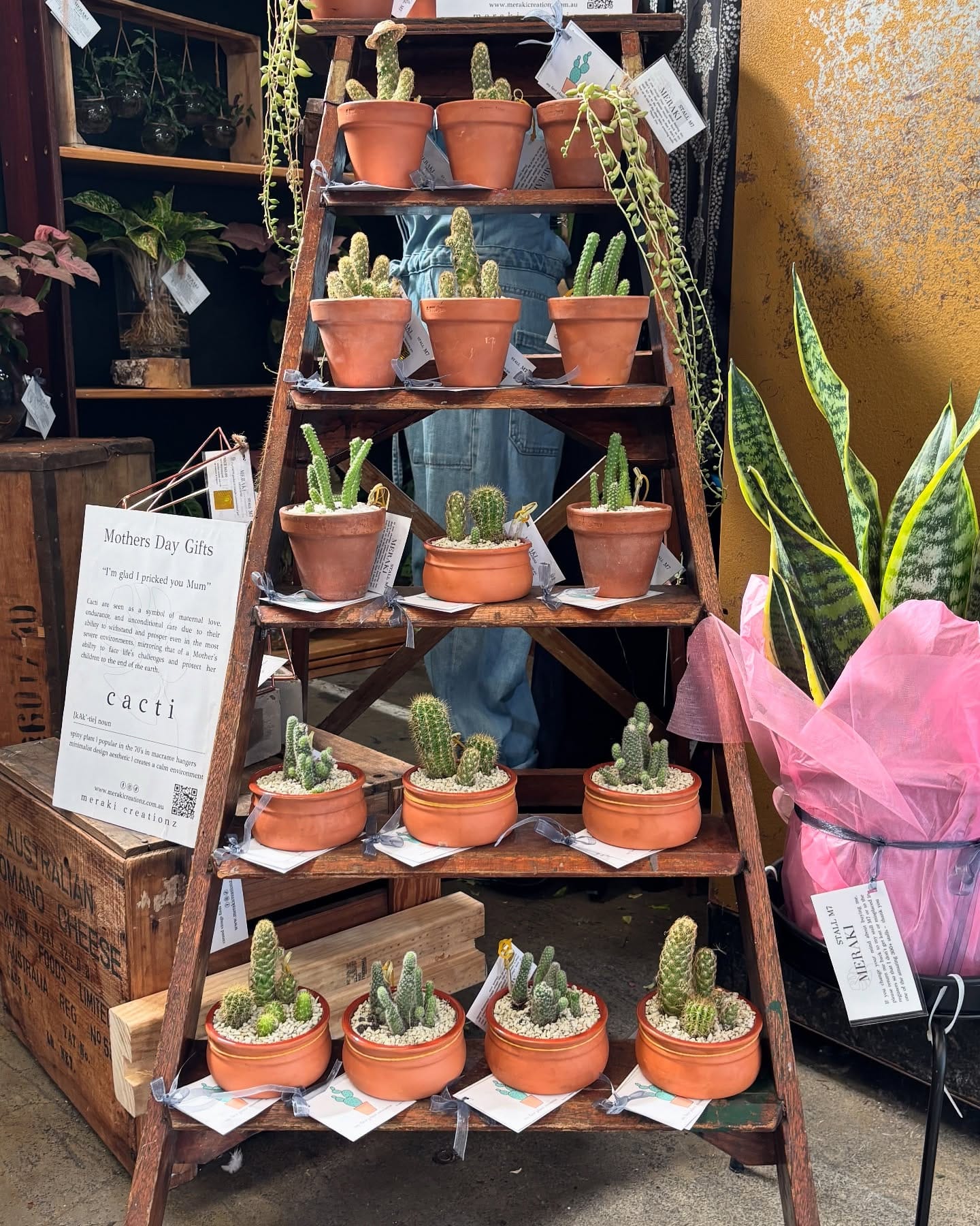 vintage tins as plant pots