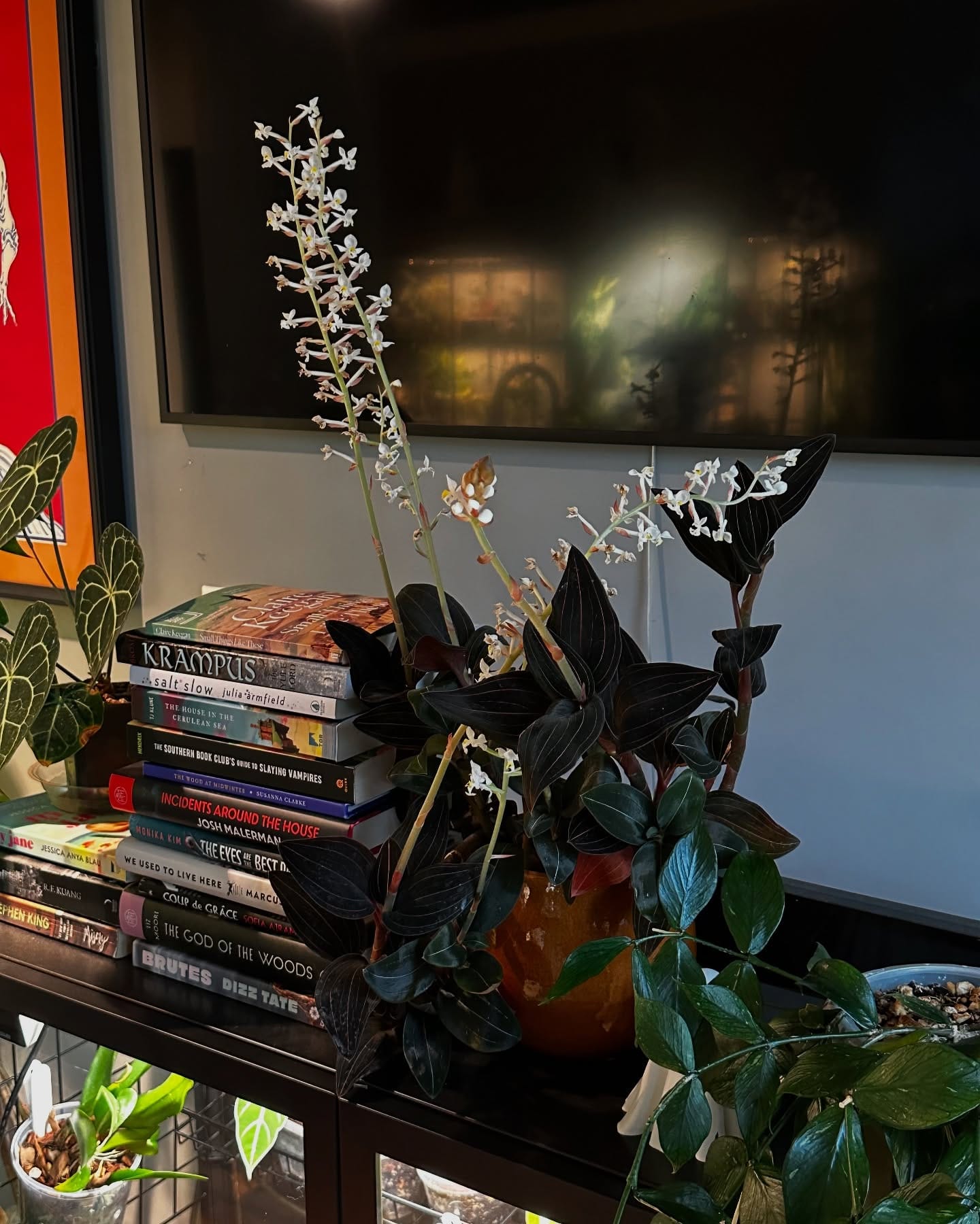 plant cuttings arranged on bookshelf