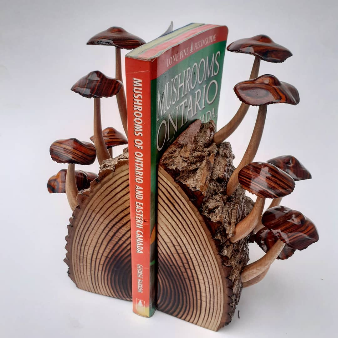 cork bark bookends on shelf