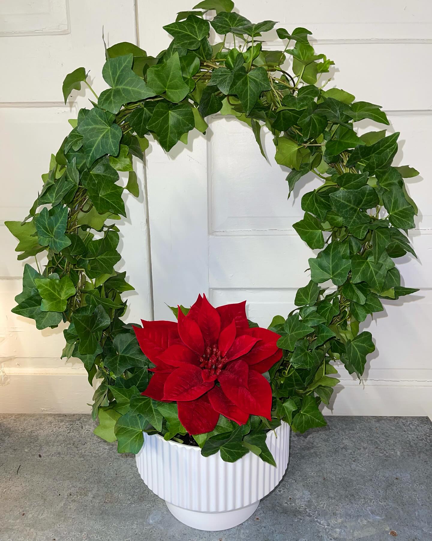 english ivy trailing on bookshelf