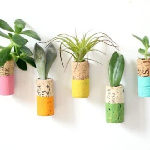 tiny succulents in wine corks