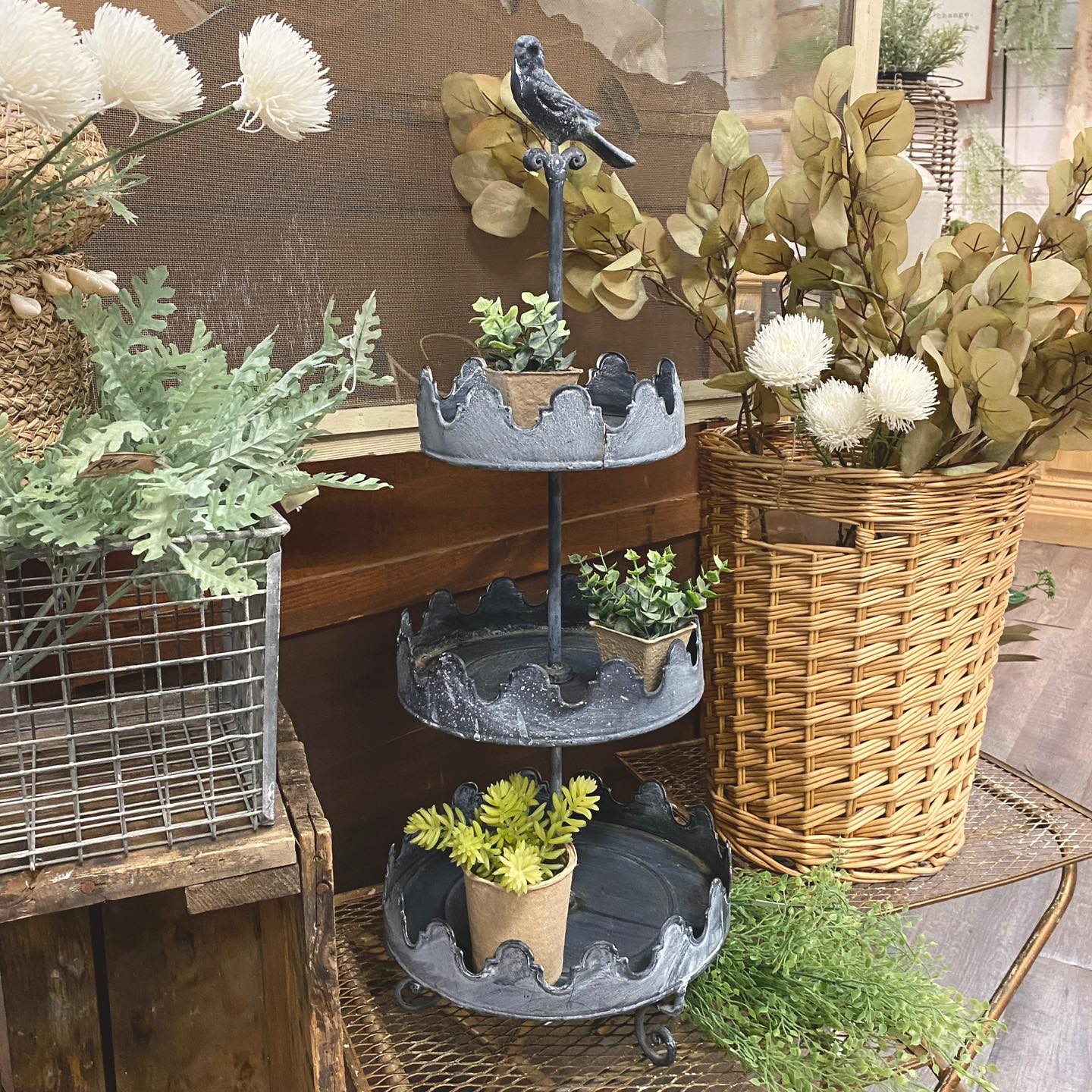 seasonal plants in crate