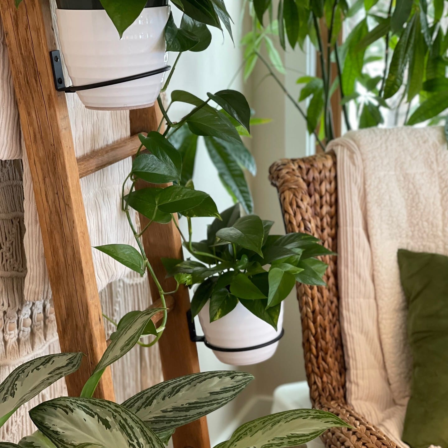 hallway with reclaimed wood plant mounts and lighting