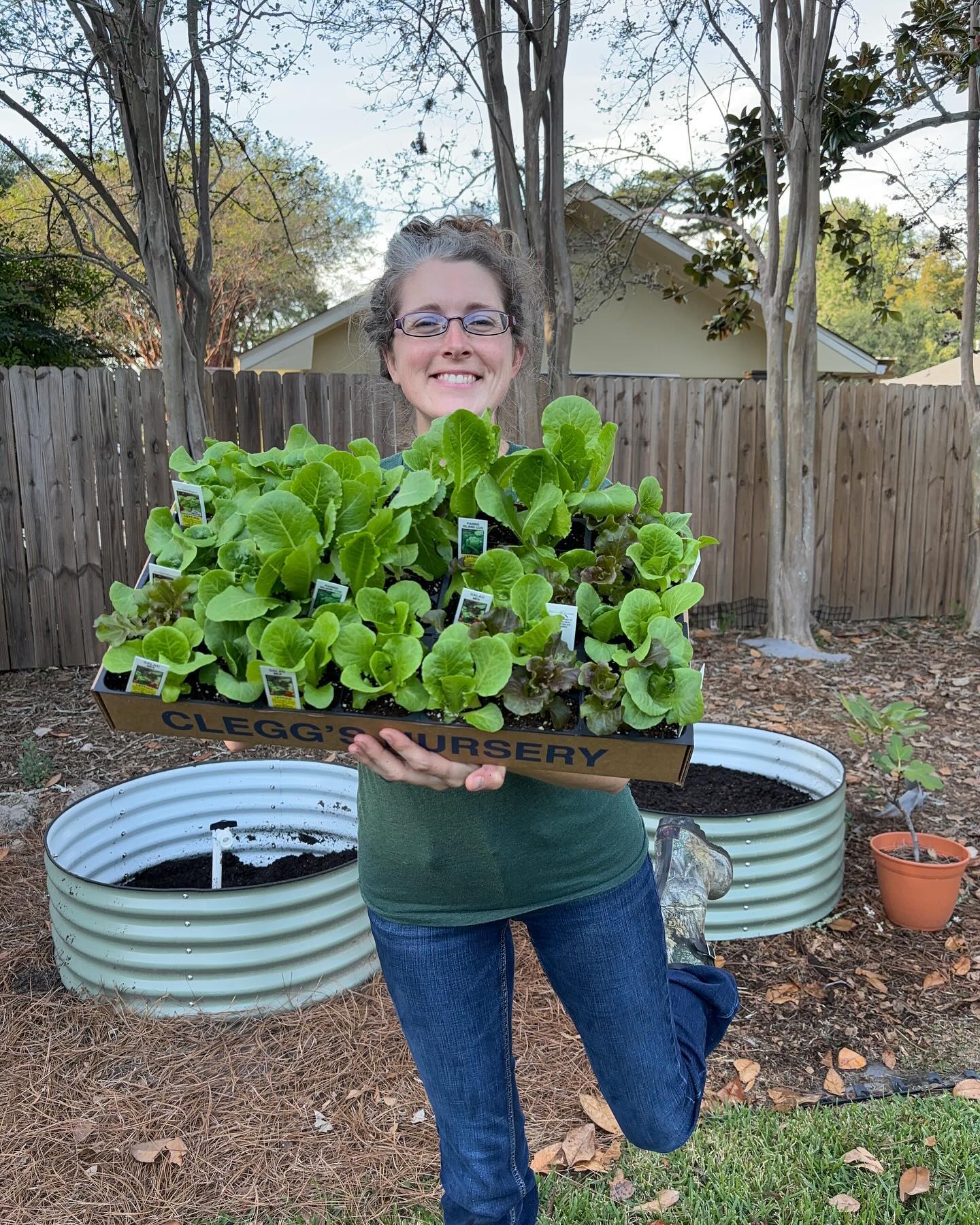 small vegetable patch with labels