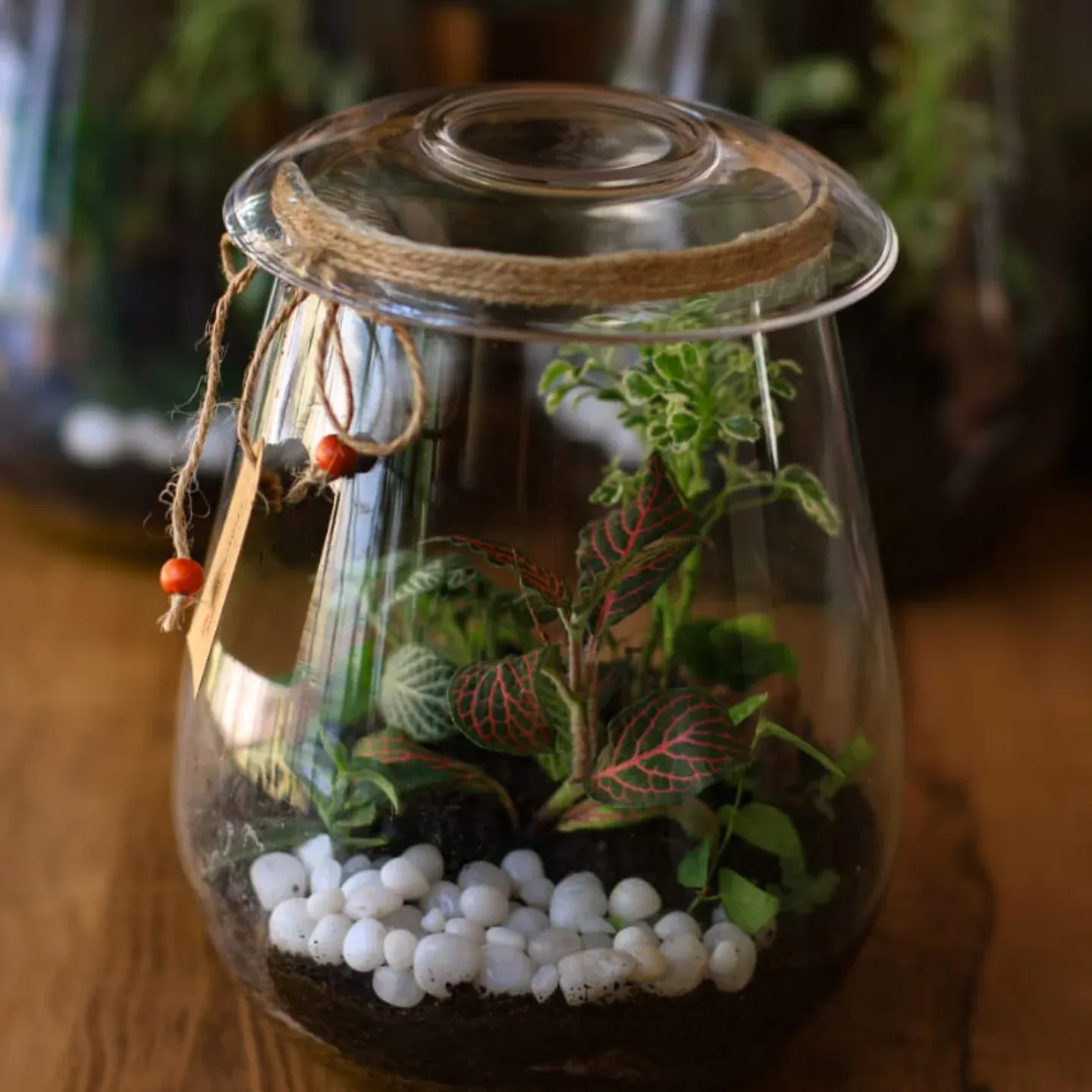 aquarium with rare aquatic plants