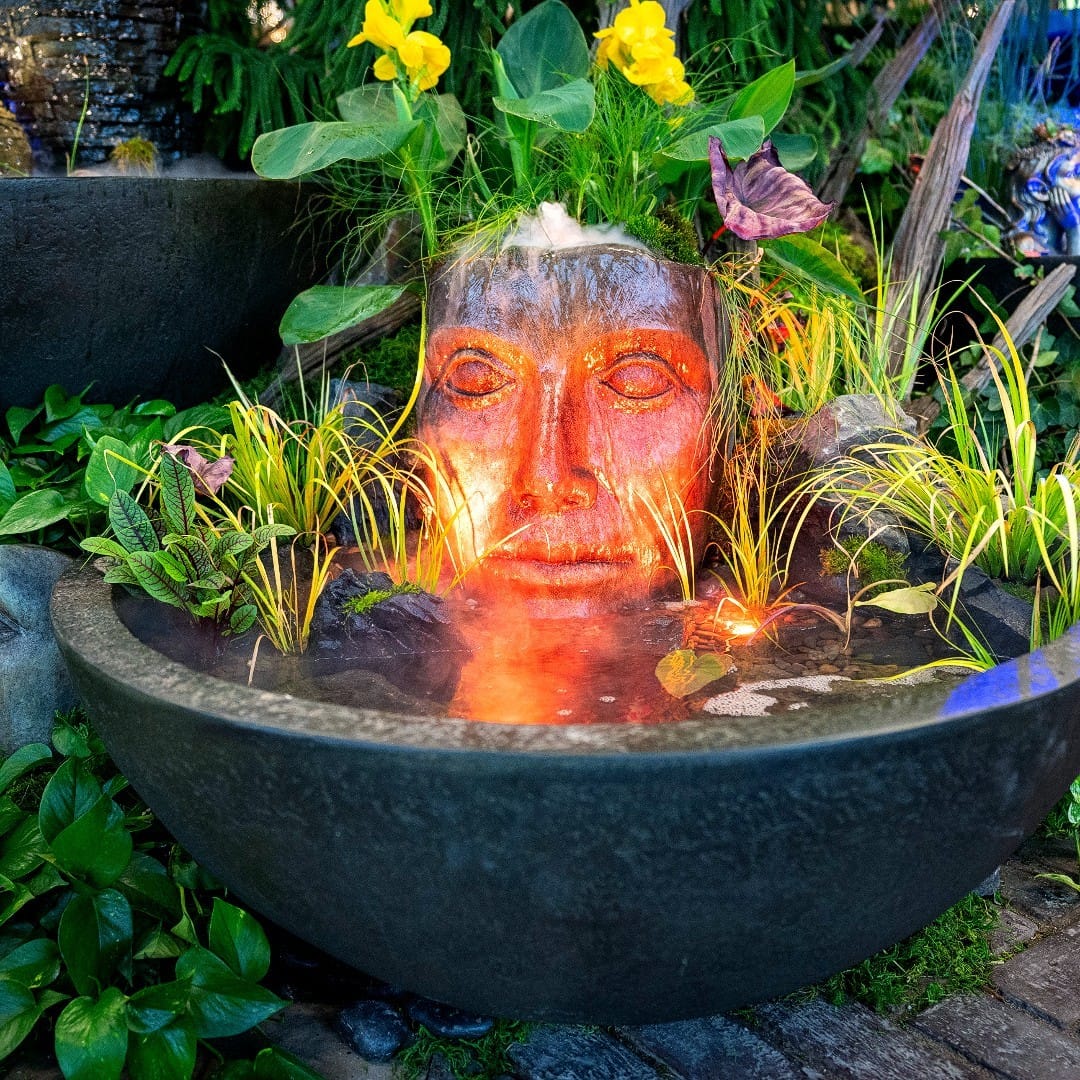 modern water feature with floating plants