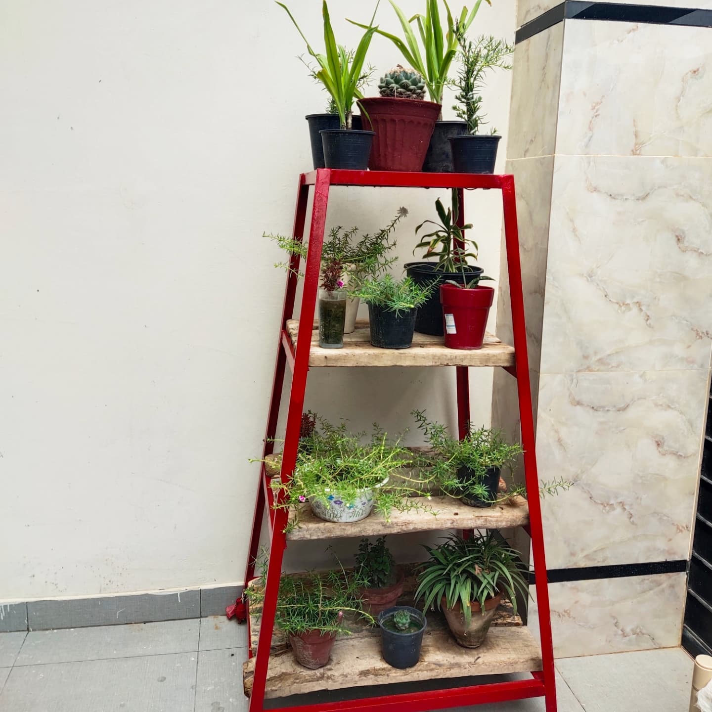 ladder with colorful plant pots