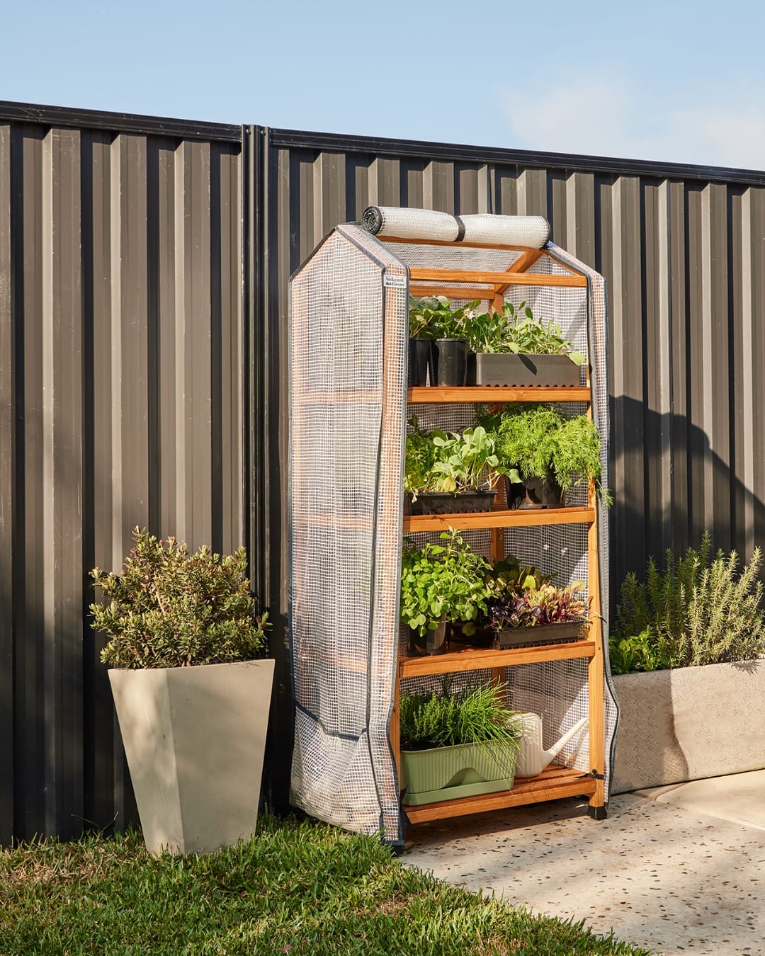 tiered plant shelves with succulents