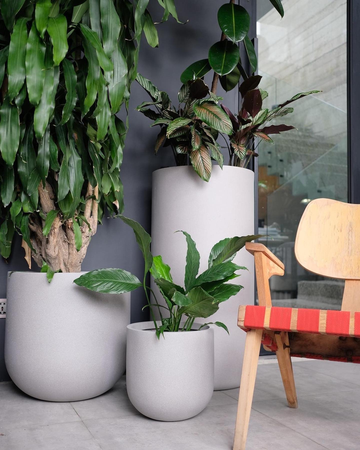 hanging glass orb planters with air plants