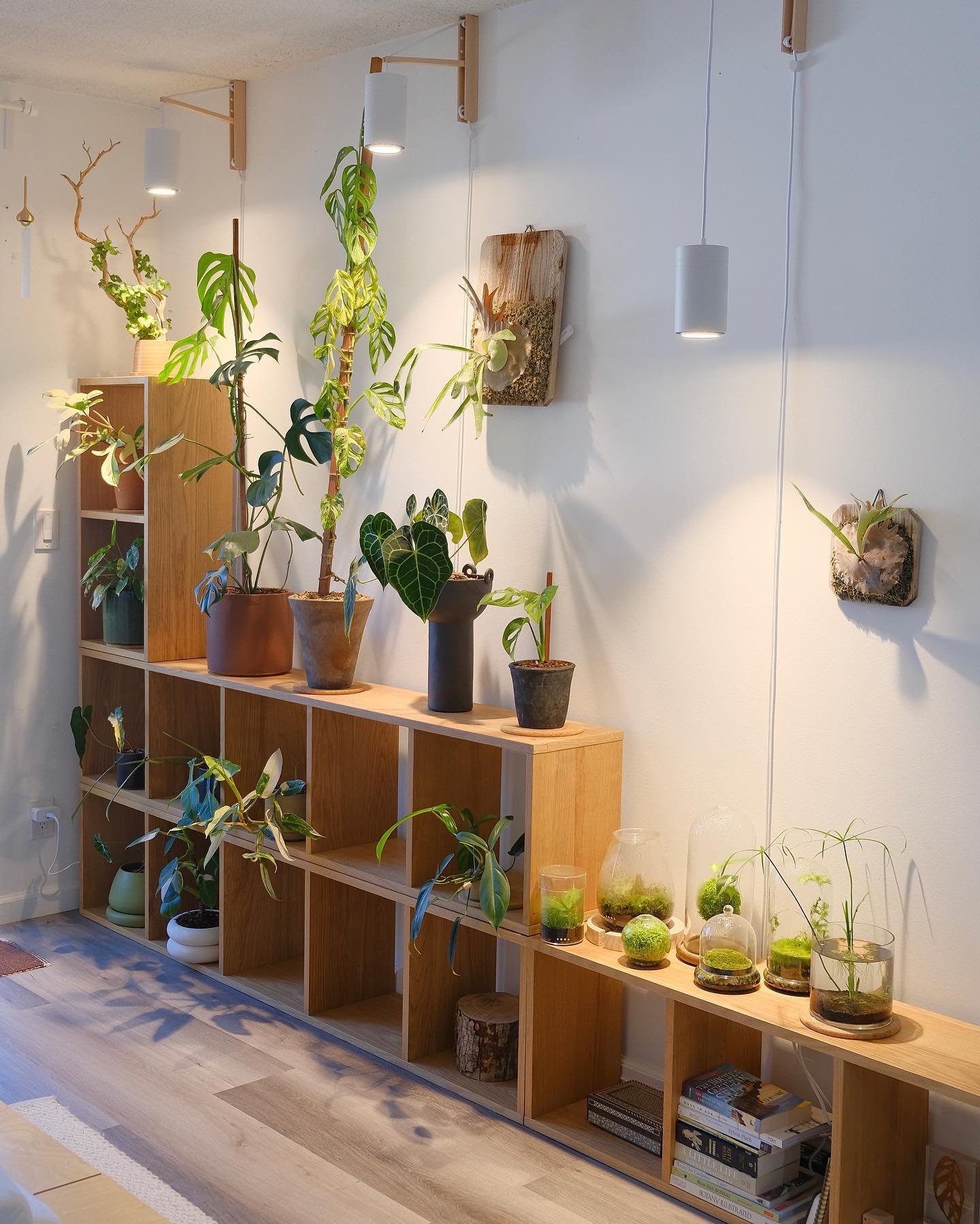 stylish wall-mounted plant shelves in office