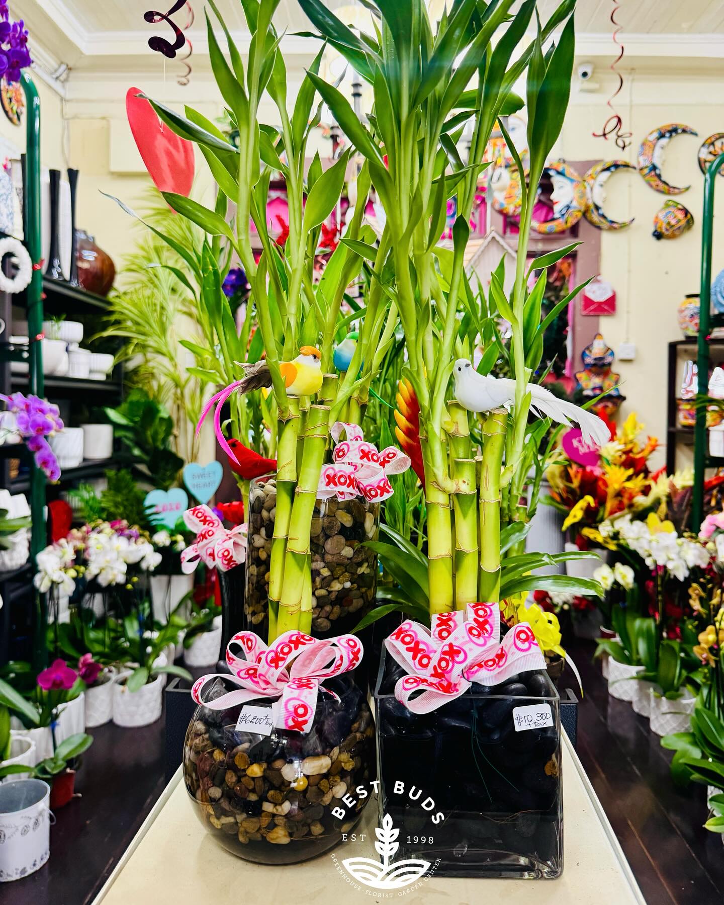 bamboo stalks in glass vase