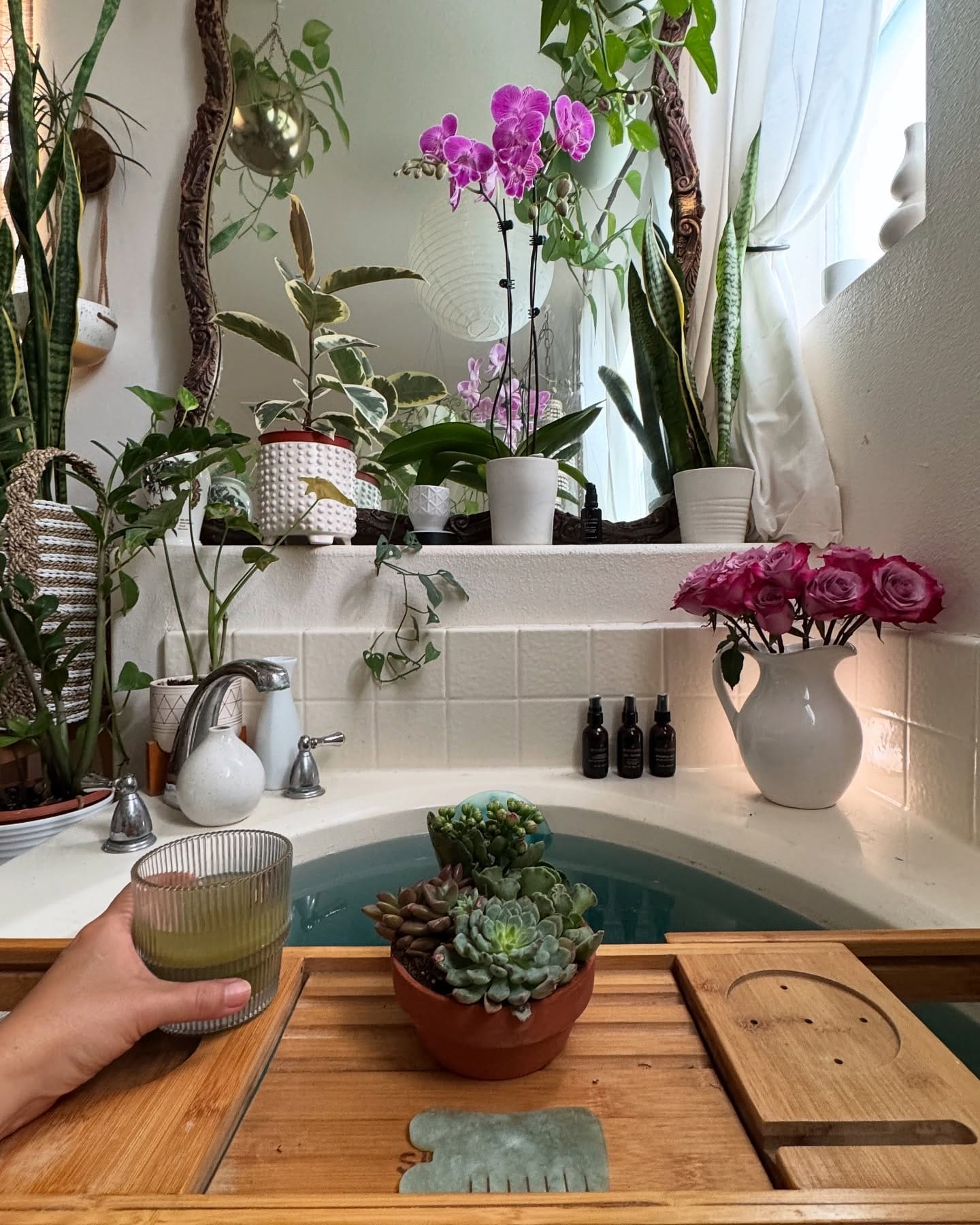 bathtub with bird-friendly plants